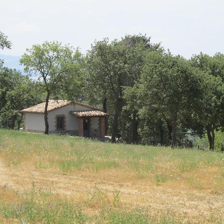Holiday Home Il Podere Del Lago By Interhome Больсена Экстерьер фото